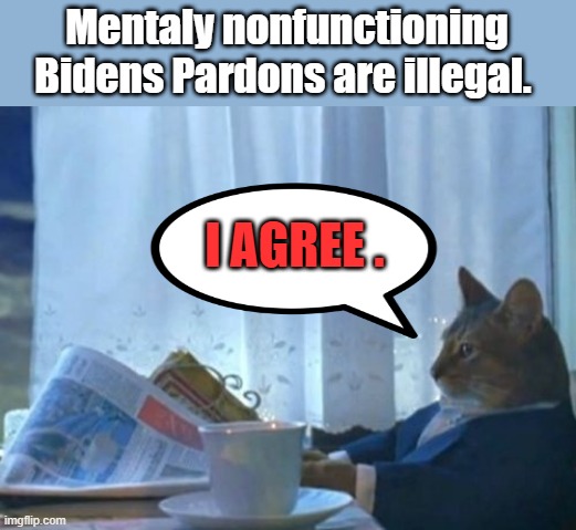 He was found incompetent to put on trail, so how did he become competent enough to sign Pardons for criminals ? | Mentaly nonfunctioning Bidens Pardons are illegal. I AGREE . | image tagged in memes,i should buy a boat cat | made w/ Imgflip meme maker