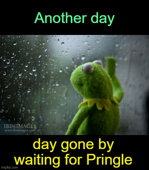 . | Another day; day gone by waiting for Pringle | image tagged in kermit window | made w/ Imgflip meme maker