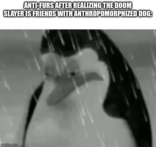 bummer for furry haters | ANTI-FURS AFTER REALIZING THE DOOM SLAYER IS FRIENDS WITH ANTHROPOMORPHIZED DOG: | image tagged in sadge | made w/ Imgflip meme maker