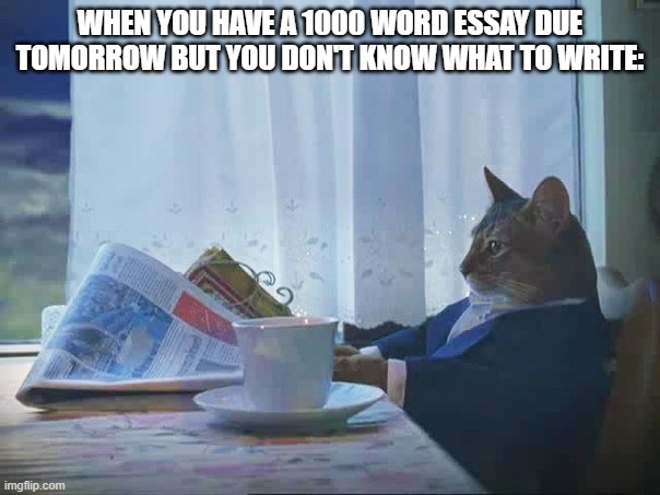 Cat reading newspaper | WHEN YOU HAVE A 1000 WORD ESSAY DUE TOMORROW BUT YOU DON'T KNOW WHAT TO WRITE: | image tagged in cat reading newspaper,memes,school memes | made w/ Imgflip meme maker