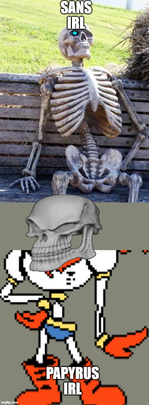 Sans and Papyrus irl | SANS IRL; PAPYRUS IRL | image tagged in memes,waiting skeleton | made w/ Imgflip meme maker