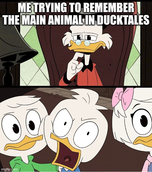 Random | ME TRYING TO REMEMBER THE MAIN ANIMAL IN DUCKTALES | image tagged in ducktales dewey | made w/ Imgflip meme maker