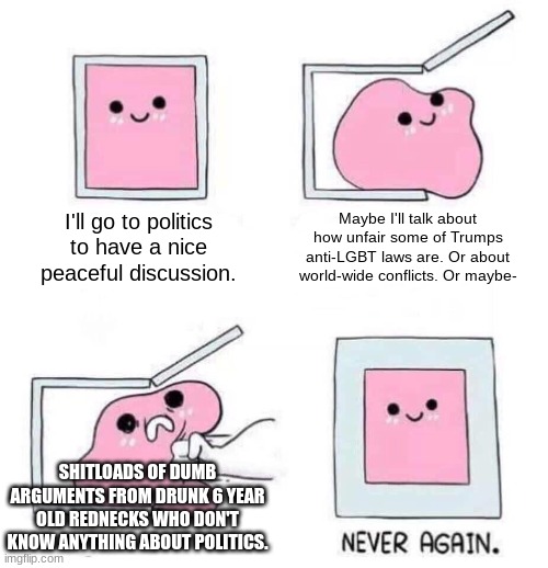 This is why I hardly come here, unless I want to spark a (progressive) argument | I'll go to politics to have a nice peaceful discussion. Maybe I'll talk about how unfair some of Trumps anti-LGBT laws are. Or about world-wide conflicts. Or maybe-; SHITLOADS OF DUMB ARGUMENTS FROM DRUNK 6 YEAR OLD REDNECKS WHO DON'T KNOW ANYTHING ABOUT POLITICS. | image tagged in never again,politics | made w/ Imgflip meme maker