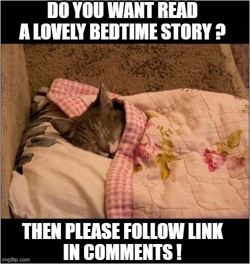 The Cat Who Chased The Moon
(This Needs To Be Shared) | DO YOU WANT READ A LOVELY BEDTIME STORY ? THEN PLEASE FOLLOW LINK
IN COMMENTS ! | image tagged in cats,bedtime,story,comments | made w/ Imgflip meme maker