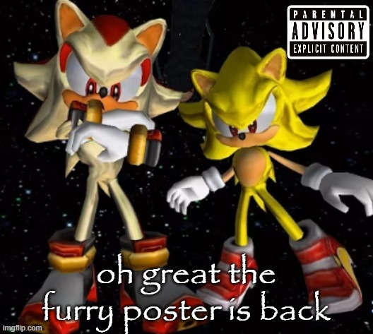 sonic n shadow | oh great the furry poster is back | image tagged in sonic n shadow | made w/ Imgflip meme maker