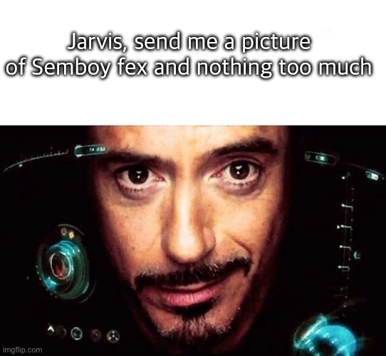 Jarvis Template | Jarvis, send me a picture of Semboy fex and nothing too much | image tagged in jarvis template | made w/ Imgflip meme maker