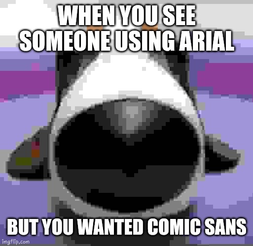 Staring Dog | WHEN YOU SEE SOMEONE USING ARIAL; BUT YOU WANTED COMIC SANS | image tagged in staring dog | made w/ Imgflip meme maker