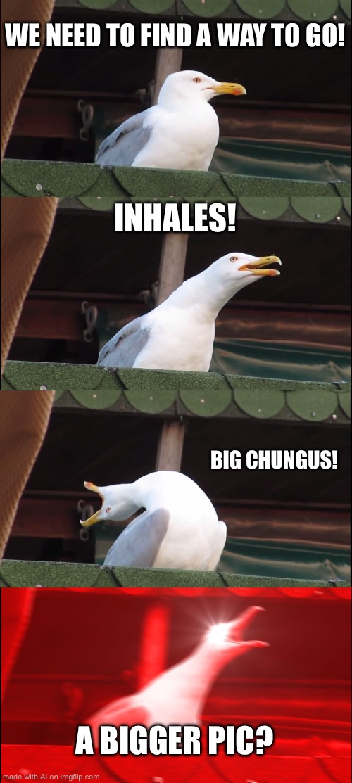 Inhaling Seagull Meme | WE NEED TO FIND A WAY TO GO! INHALES! BIG CHUNGUS! A BIGGER PIC? | image tagged in memes,inhaling seagull | made w/ Imgflip meme maker