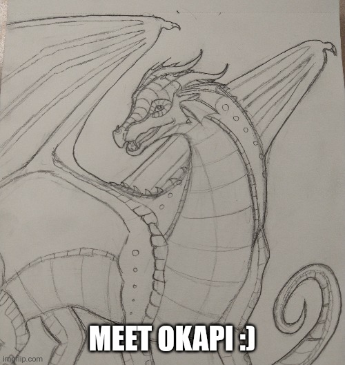 Okapi the Rainwing | MEET OKAPI :) | image tagged in wof,art,drawing | made w/ Imgflip meme maker