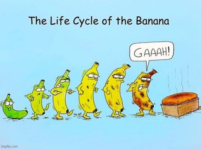 Banana Life | image tagged in comics | made w/ Imgflip meme maker