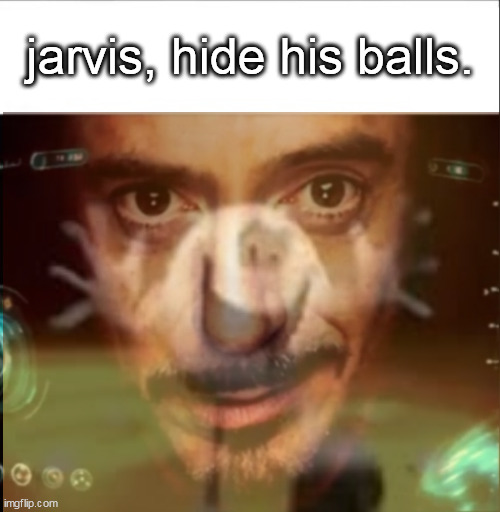 Jarvis meme | jarvis, hide his balls. | image tagged in jarvis meme | made w/ Imgflip meme maker