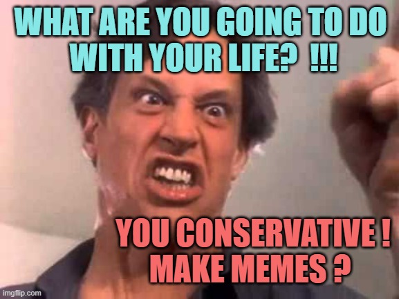 Twisted Sister | YOU CONSERVATIVE !
MAKE MEMES ? WHAT ARE YOU GOING TO DO 
WITH YOUR LIFE?  !!! | image tagged in twisted sister | made w/ Imgflip meme maker