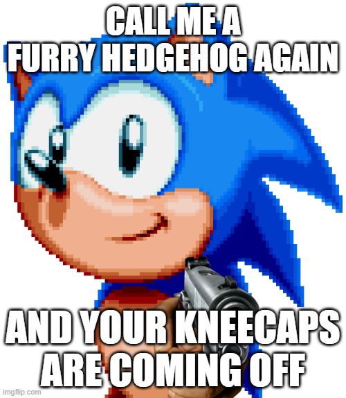 sonic with a gun | CALL ME A FURRY HEDGEHOG AGAIN; AND YOUR KNEECAPS ARE COMING OFF | image tagged in sonic with a gun | made w/ Imgflip meme maker