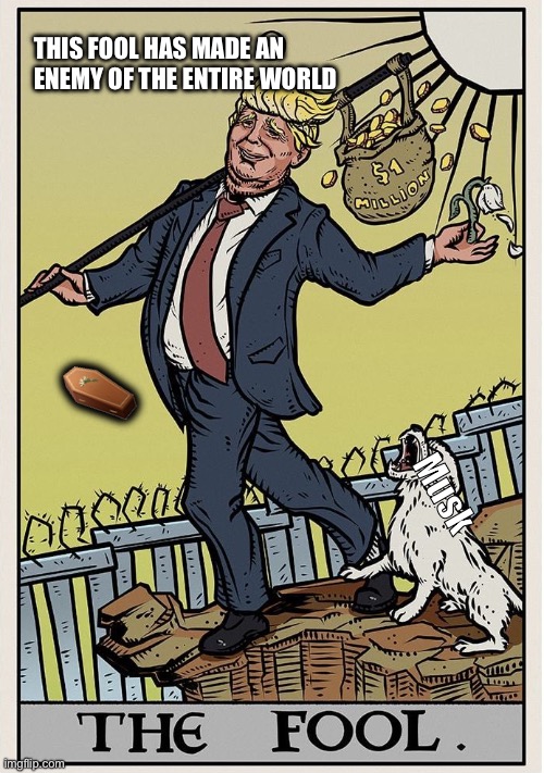 trump Tarot card | THIS FOOL HAS MADE AN ENEMY OF THE ENTIRE WORLD; ⚰️; Musk | image tagged in trump tarot card | made w/ Imgflip meme maker