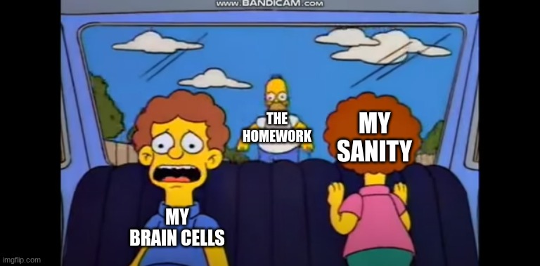 Homer chasing the Flanders | THE HOMEWORK; MY SANITY; MY BRAIN CELLS | image tagged in homer chasing the flanders | made w/ Imgflip meme maker