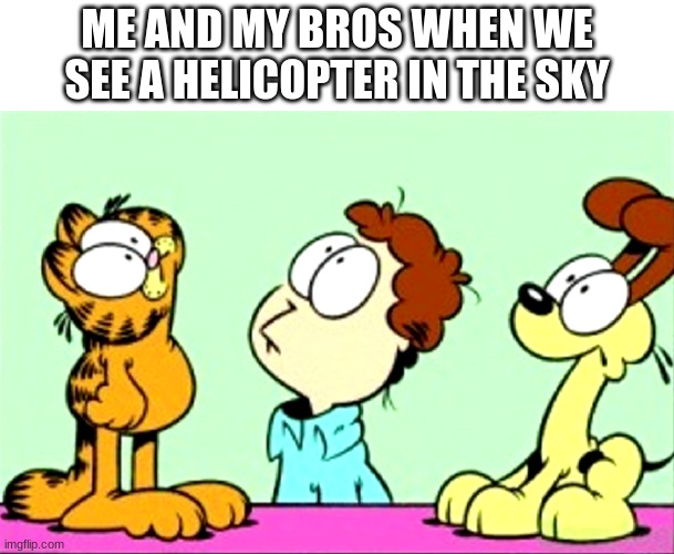 helicopter... | ME AND MY BROS WHEN WE SEE A HELICOPTER IN THE SKY | image tagged in garfield jon and odie looking up | made w/ Imgflip meme maker