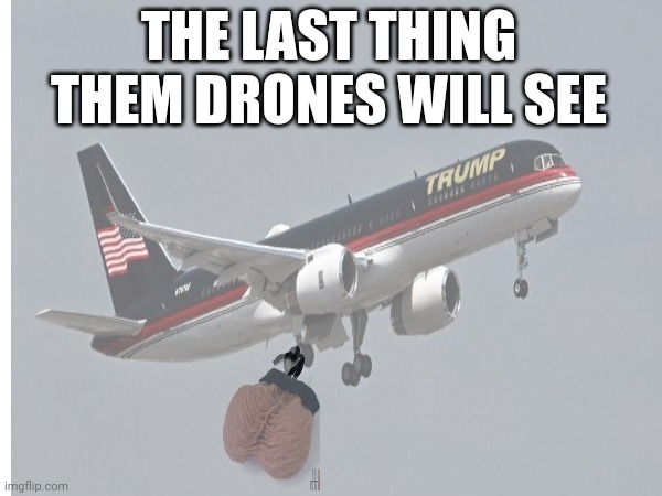 Dangleing trump | THE LAST THING THEM DRONES WILL SEE | image tagged in man,trump | made w/ Imgflip meme maker