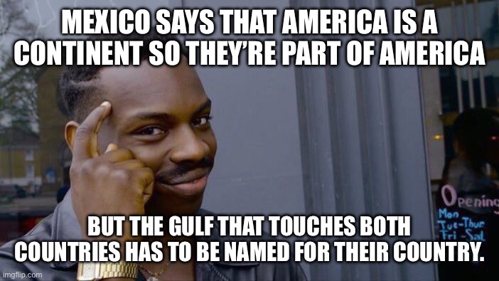 Roll Safe Think About It | MEXICO SAYS THAT AMERICA IS A CONTINENT SO THEY’RE PART OF AMERICA; BUT THE GULF THAT TOUCHES BOTH COUNTRIES HAS TO BE NAMED FOR THEIR COUNTRY. | image tagged in memes,roll safe think about it | made w/ Imgflip meme maker