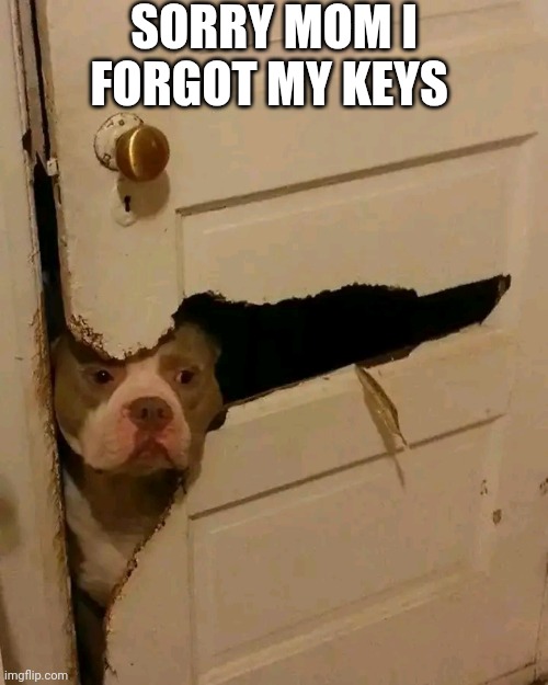 Sorry Mom I Forgot My Keys | SORRY MOM I FORGOT MY KEYS | image tagged in chris joines | made w/ Imgflip meme maker