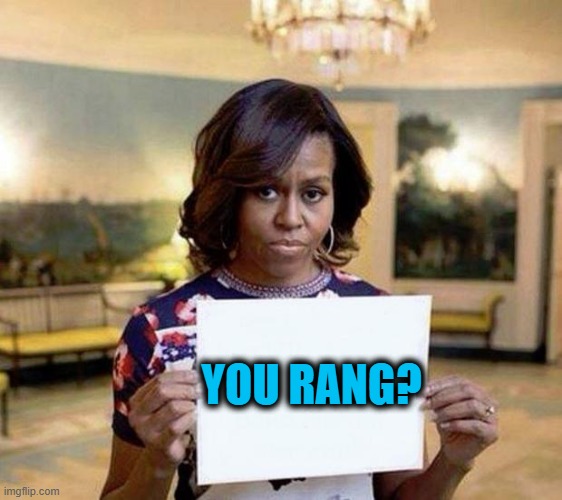 Michelle Obama blank sheet | YOU RANG? | image tagged in michelle obama blank sheet | made w/ Imgflip meme maker