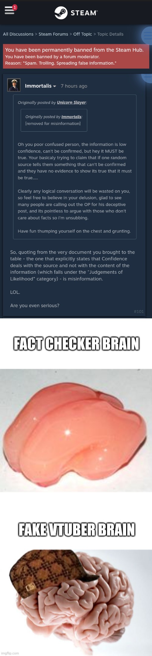 FACT CHECKER BRAIN; FAKE VTUBER BRAIN | image tagged in blank white template,smooth brain,memes,scumbag brain | made w/ Imgflip meme maker