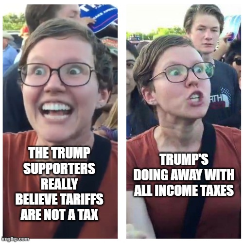 SJW Happy then Triggered | TRUMP'S DOING AWAY WITH ALL INCOME TAXES; THE TRUMP SUPPORTERS REALLY BELIEVE TARIFFS ARE NOT A TAX | image tagged in sjw happy then triggered | made w/ Imgflip meme maker