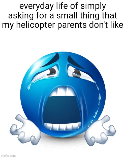 PLEASE | everyday life of simply asking for a small thing that my helicopter parents don't like | image tagged in please | made w/ Imgflip meme maker