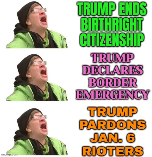 President Trump's Executive Actions | TRUMP ENDS BIRTHRIGHT CITIZENSHIP; TRUMP
DECLARES
BORDER
EMERGENCY; TRUMP
PARDONS
JAN. 6
RIOTERS | image tagged in crying liberal,libtards,donald trump,trump bill signing,breaking news,liberal tears | made w/ Imgflip meme maker