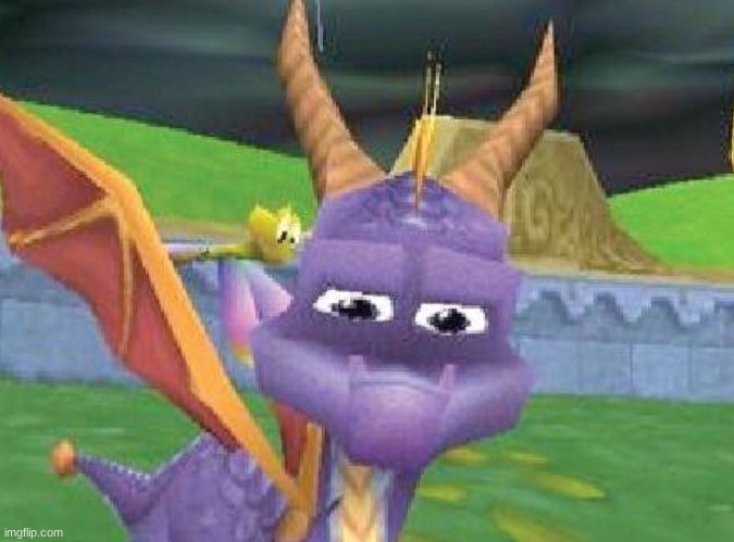 Spyro says what? | image tagged in spyro says what | made w/ Imgflip meme maker
