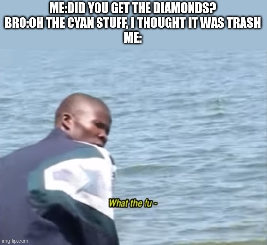 you useless piece of trash | ME:DID YOU GET THE DIAMONDS?
BRO:OH THE CYAN STUFF, I THOUGHT IT WAS TRASH
ME: | image tagged in what the fu- | made w/ Imgflip meme maker