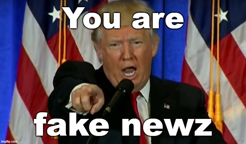 Trump Fake News  | You are fake newz | image tagged in trump fake news | made w/ Imgflip meme maker