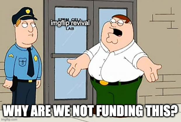 Why Are We Not Funding This  | imgflip revival; WHY ARE WE NOT FUNDING THIS? | image tagged in why are we not funding this | made w/ Imgflip meme maker