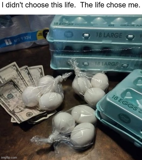 I didn't choose this life.  The life chose me. | image tagged in eggs | made w/ Imgflip meme maker