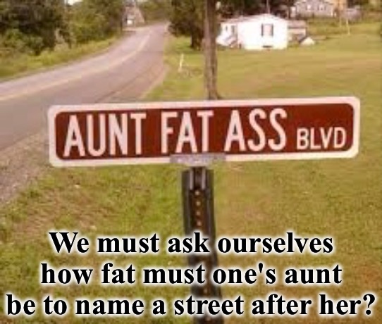 Aunt Fat Ass? | We must ask ourselves how fat must one's aunt be to name a street after her? | image tagged in memes,fun,funny,fat ass,funny street signs,hilarious memes | made w/ Imgflip meme maker