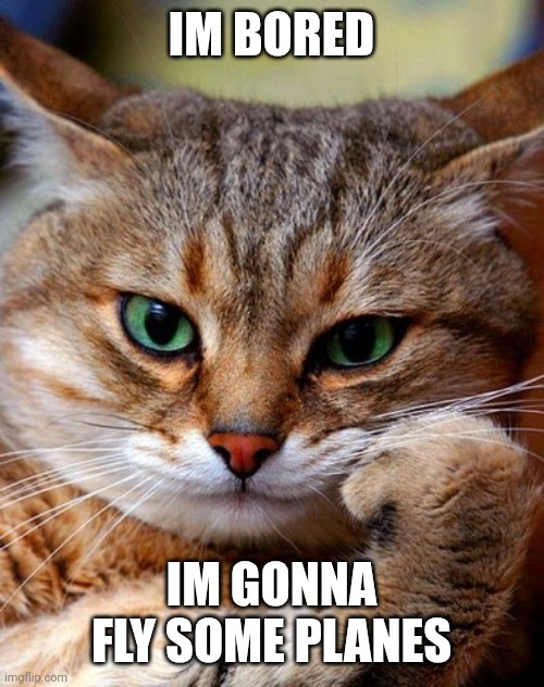 bored cat | IM BORED; IM GONNA FLY SOME PLANES | image tagged in bored cat | made w/ Imgflip meme maker