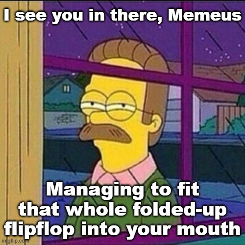 my neighbour saw me doing weird shit again | I see you in there, Memeus; Managing to fit that whole folded-up flipflop into your mouth | image tagged in stalker | made w/ Imgflip meme maker