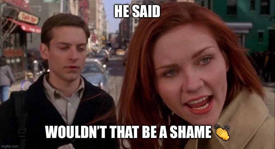 He SAID Spiderman Meme | HE SAID; WOULDN’T THAT BE A SHAME 👏 | image tagged in he said spiderman meme | made w/ Imgflip meme maker