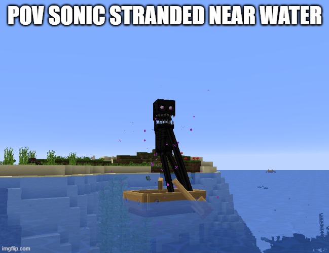 Scaredy-man | POV SONIC STRANDED NEAR WATER | image tagged in scaredy-man | made w/ Imgflip meme maker