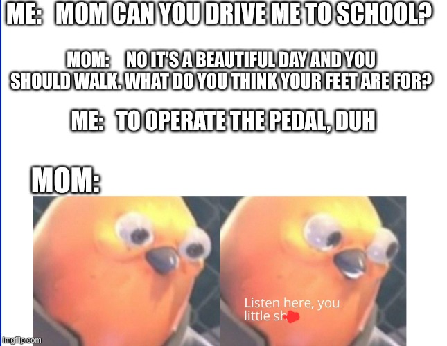 When you ask your mom to drive you | ME:   MOM CAN YOU DRIVE ME TO SCHOOL? MOM:     NO IT'S A BEAUTIFUL DAY AND YOU SHOULD WALK. WHAT DO YOU THINK YOUR FEET ARE FOR? ME:   TO OPERATE THE PEDAL, DUH; MOM: | image tagged in listen here you little shit,funny memes,relatable,viral | made w/ Imgflip meme maker