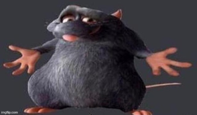 Shrugging Rat | image tagged in shrugging rat | made w/ Imgflip meme maker