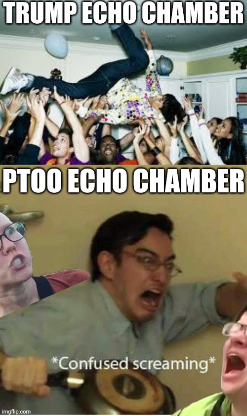 Why I like this stream | TRUMP ECHO CHAMBER; PTOO ECHO CHAMBER | image tagged in party,confused screaming | made w/ Imgflip meme maker