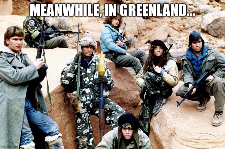 Wolverines | MEANWHILE, IN GREENLAND… | image tagged in red dawn | made w/ Imgflip meme maker