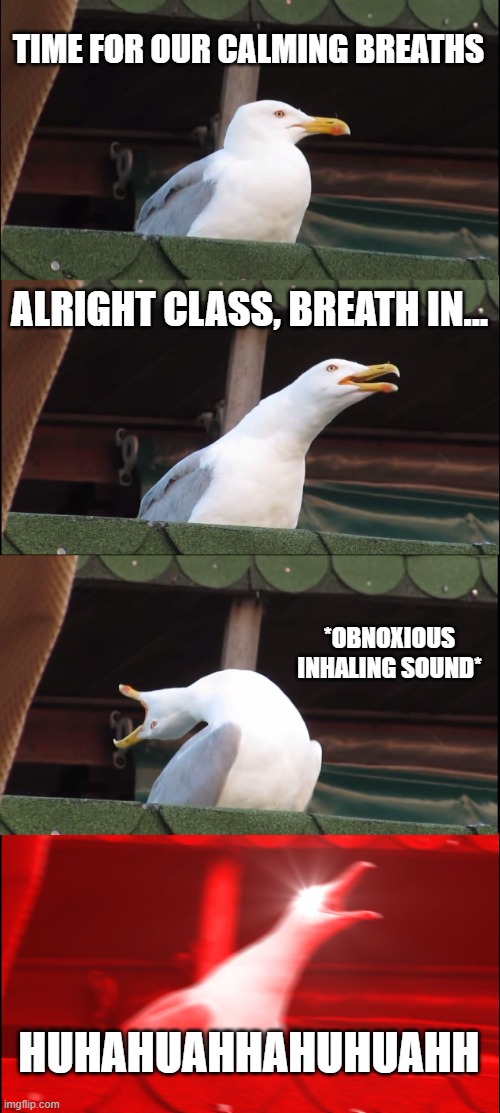 "Relaxation" Ahh Moment | TIME FOR OUR CALMING BREATHS; ALRIGHT CLASS, BREATH IN... *OBNOXIOUS INHALING SOUND*; HUHAHUAHHAHUHUAHH | image tagged in memes,inhaling seagull | made w/ Imgflip meme maker