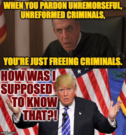 The Constitution still needs work. | WHEN YOU PARDON UNREMORSEFUL,
UNREFORMED CRIMINALS, YOU'RE JUST FREEING CRIMINALS. HOW WAS I
SUPPOSED
     TO KNOW
          THAT?! | image tagged in vinny judge,memes,trump | made w/ Imgflip meme maker