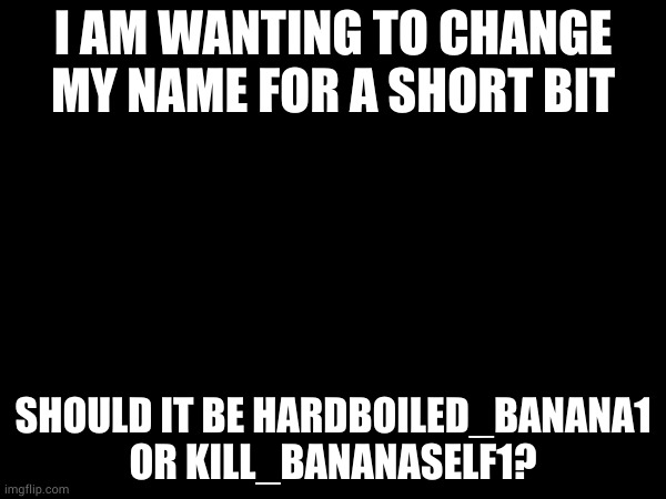 I AM WANTING TO CHANGE MY NAME FOR A SHORT BIT; SHOULD IT BE HARDBOILED_BANANA1 OR KILL_BANANASELF1? | made w/ Imgflip meme maker