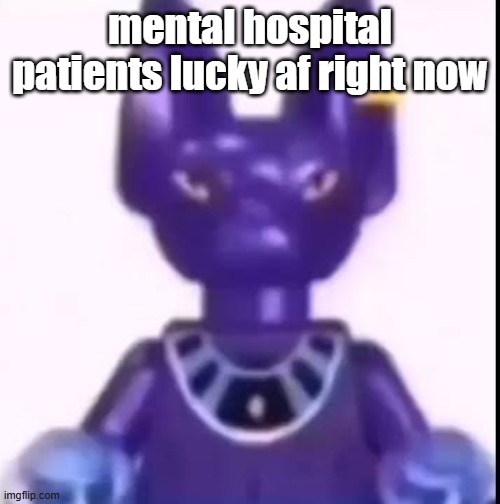 beerus | mental hospital patients lucky af right now | image tagged in beerus | made w/ Imgflip meme maker