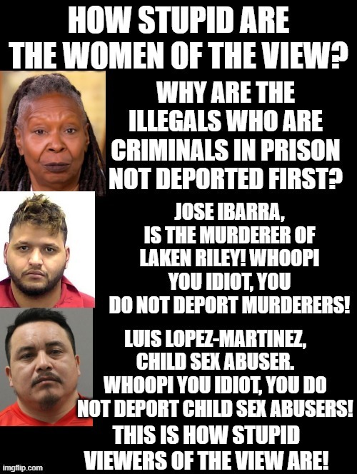 How stupid are the viewers of the View? This Stupid!!! LOL!!! | THIS IS HOW STUPID VIEWERS OF THE VIEW ARE! | image tagged in sam elliott special kind of stupid | made w/ Imgflip meme maker