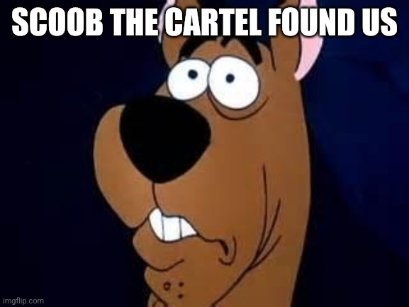 Scooby Doo Surprised | SCOOB THE CARTEL FOUND US | image tagged in scooby doo surprised | made w/ Imgflip meme maker