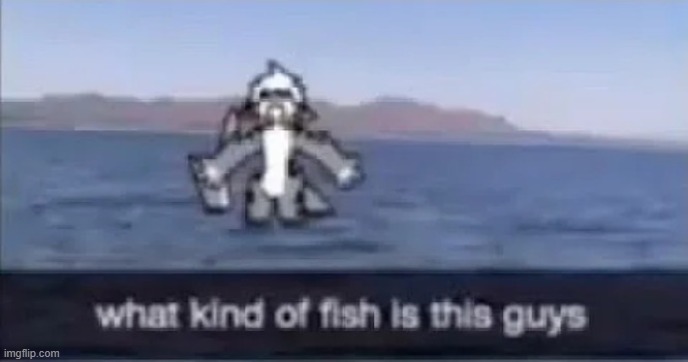 the b | image tagged in what kind of fish is this | made w/ Imgflip meme maker