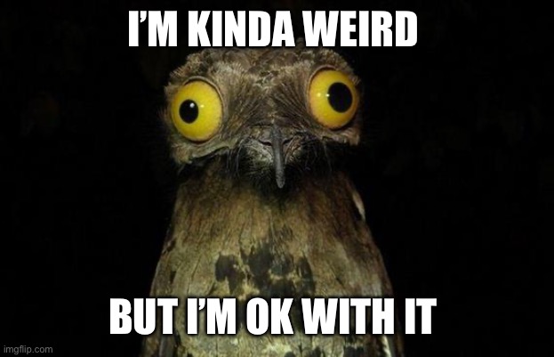 Weird Stuff I Do Potoo | I’M KINDA WEIRD; BUT I’M OK WITH IT | image tagged in memes,weird stuff i do potoo | made w/ Imgflip meme maker